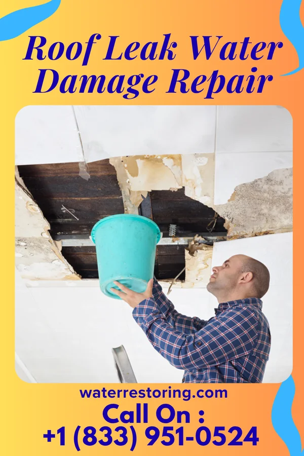 Roof Leak Water Damage Repair in Glenwood, MO