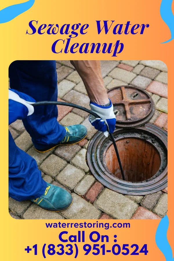 Sewage Water Cleanup in Glenwood, MO